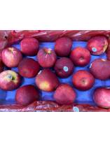 Fruits