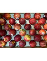 Fruits