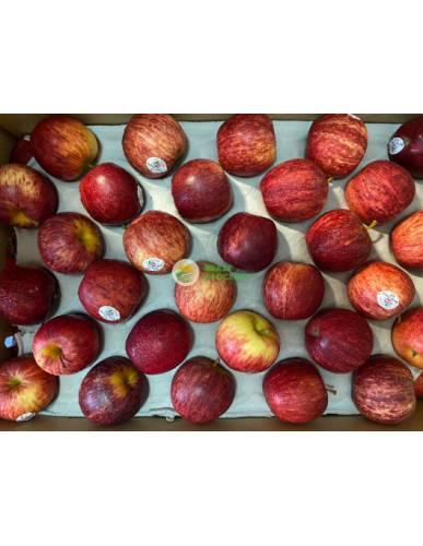 NZ Royal Gala Small Apples 4173