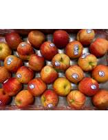 Fruits