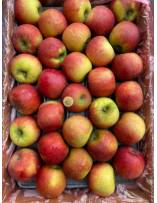 Fruits