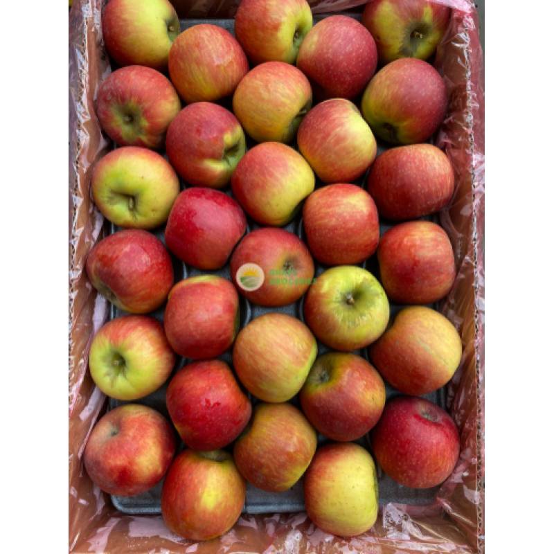 Fruits