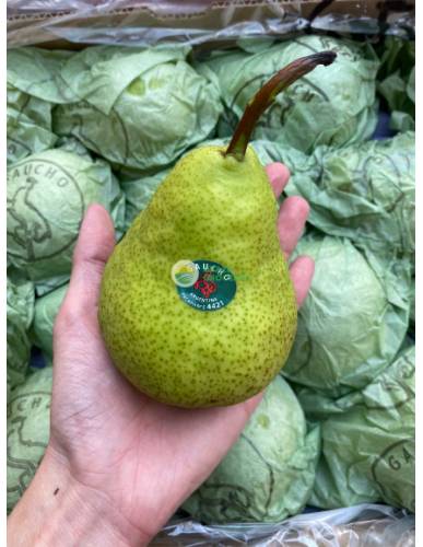 Argentina Packham Pears - Large