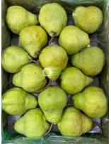 Fruits
