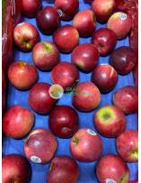 Fruits