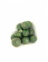 Citrus Fruits