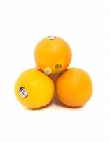 Citrus Fruits