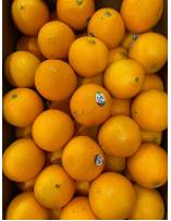 Fruits