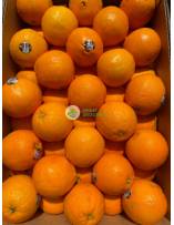 Citrus Fruits