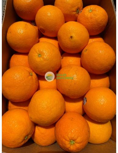 Sunkist Navel Oranges (Large) 3107