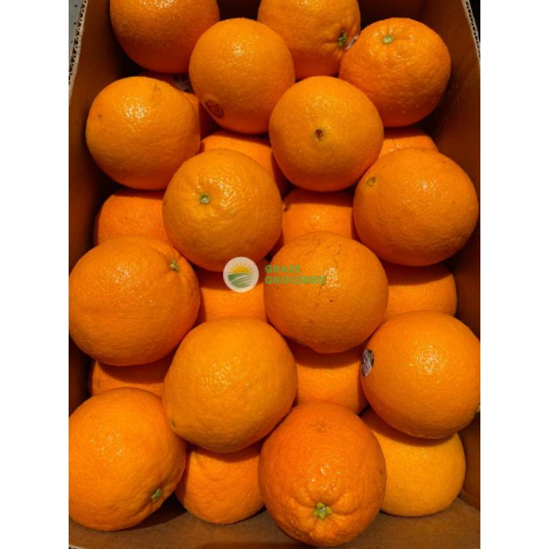 Citrus Fruits