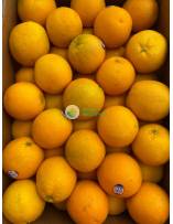 Citrus Fruits