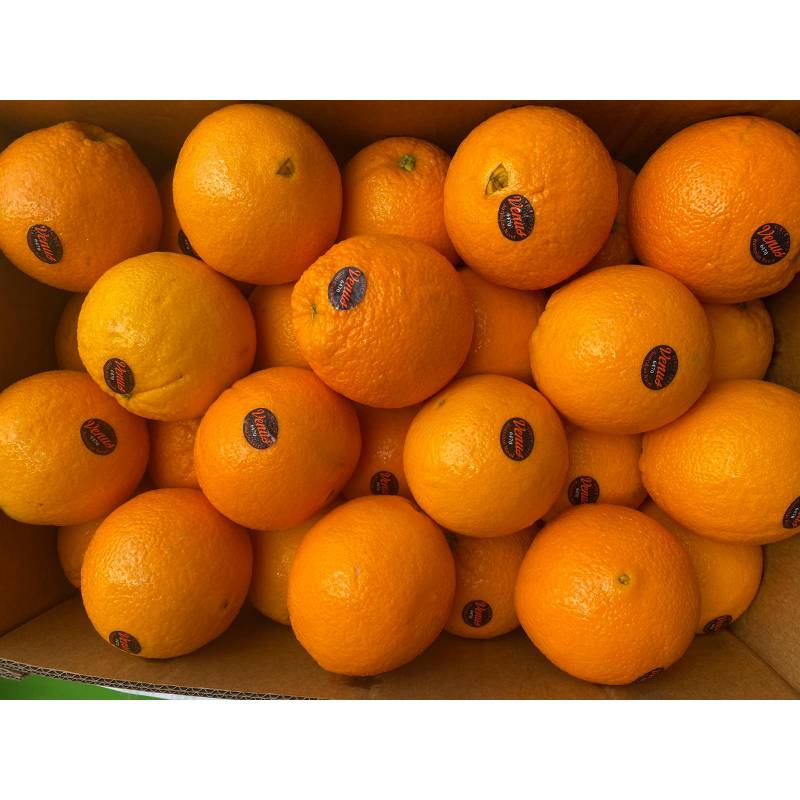 Citrus Fruits