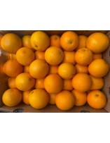 Citrus Fruits
