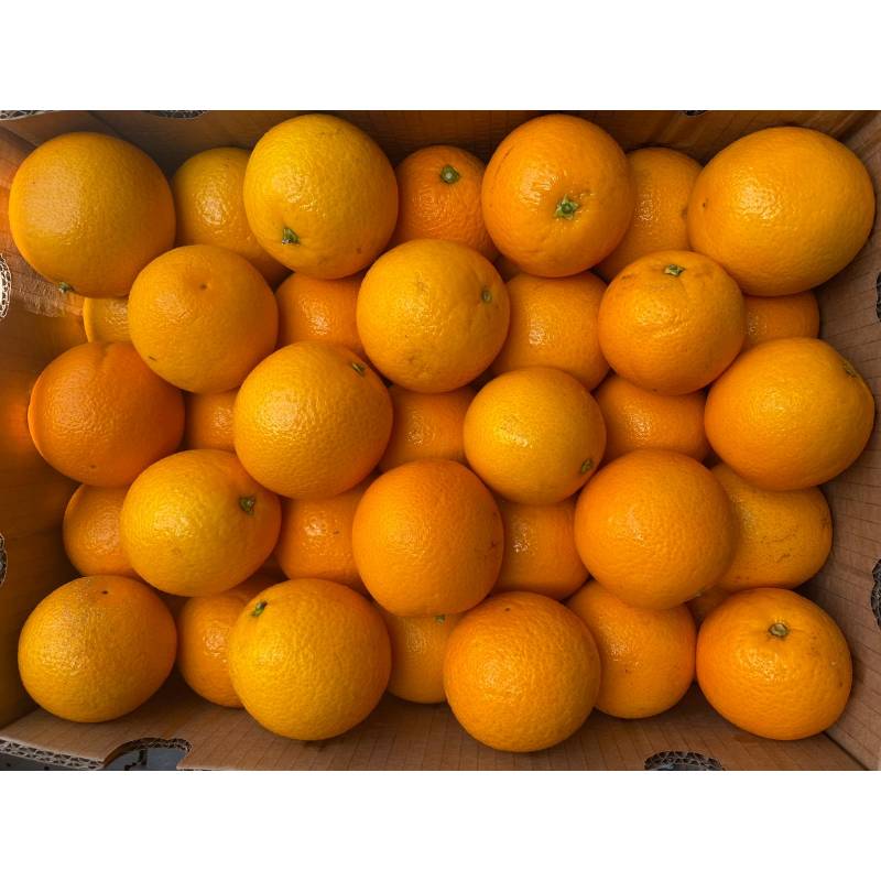 Citrus Fruits