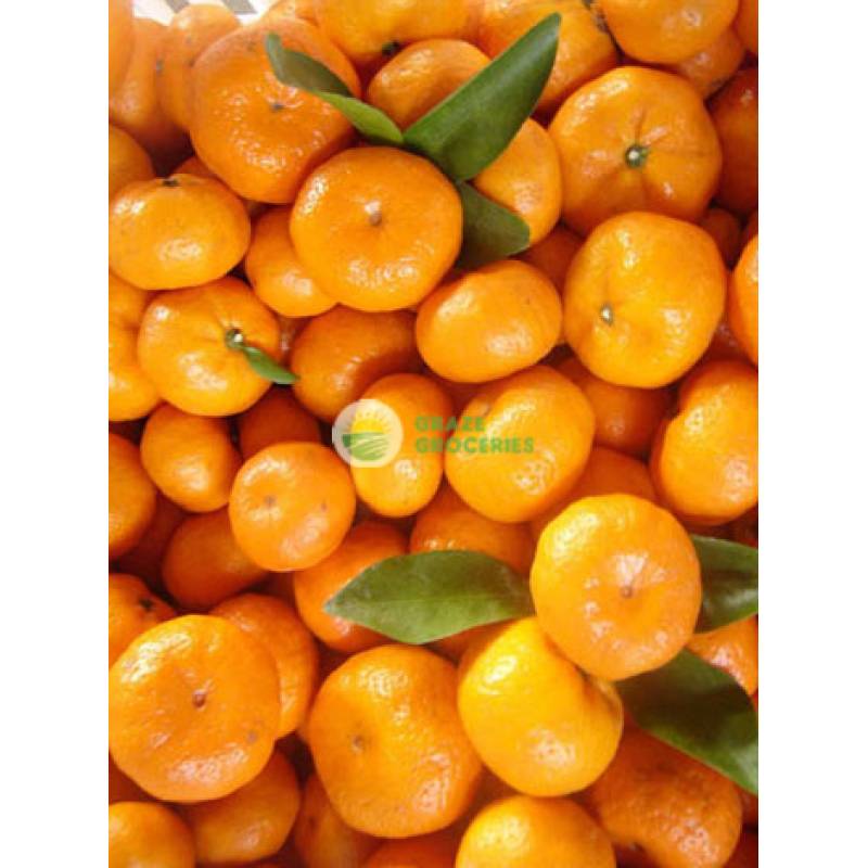 Citrus Fruits