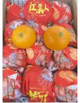 Citrus Fruits