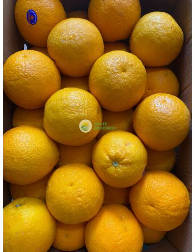 Australia Valencia Oranges - Small
