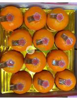 Citrus Fruits