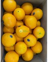 Fruits
