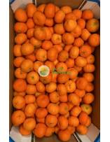 Fruits