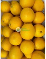Fruits