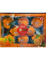 Citrus Fruits