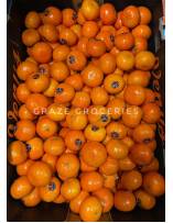 Citrus Fruits
