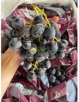 Fruits