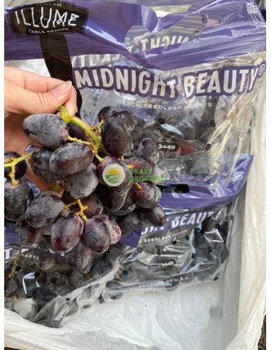 USA ILLUME MIDNIGHT BEAUTY Black Seedless Grapes