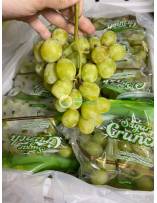 Fruits