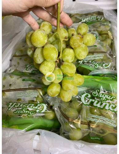 USA Pandol Sugar Crunch Green Seedless Grapes