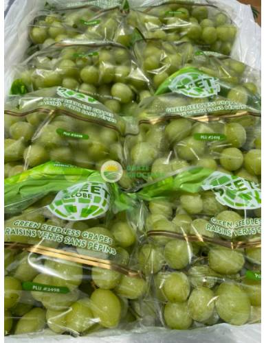 USA Pandol Sweet Globe Green Seedless Grapes