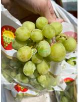 Grapes, Berries & Cherries
