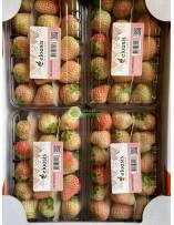 Fruits