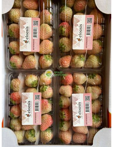 Korea Pink Snow Strawberry