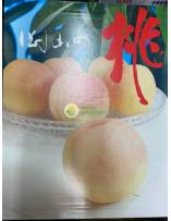 Fruits