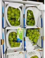 Premium Fruits