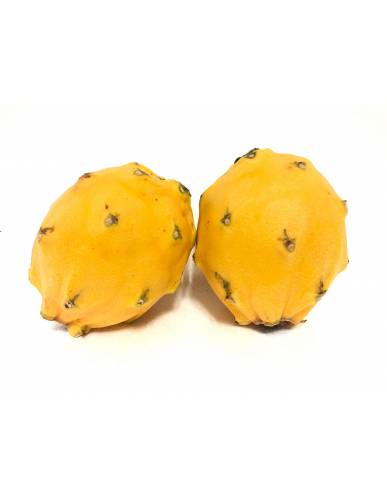 Ecuador Yellow Dragonfruit Pitahaya