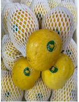 Seasonal Fruits