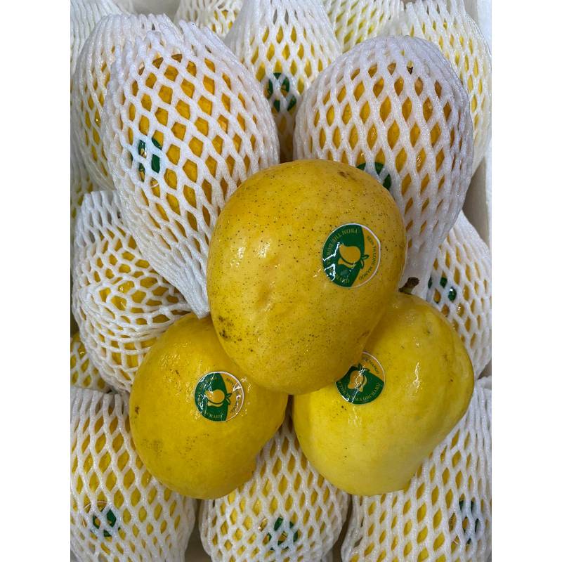 Seasonal Fruits