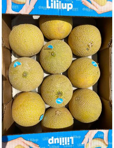 Lililup Melon