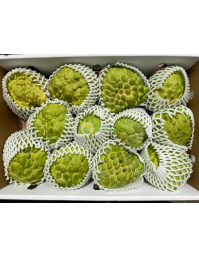 Australia Custard Apple 500g-600g each