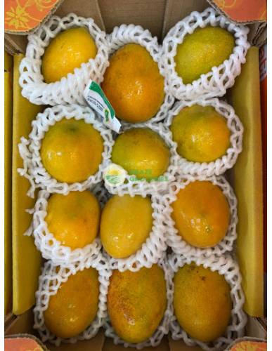Columbia Baby Sugar Mangoes