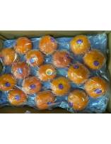 Fruits