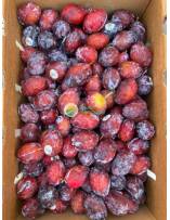Seasonal Fruits