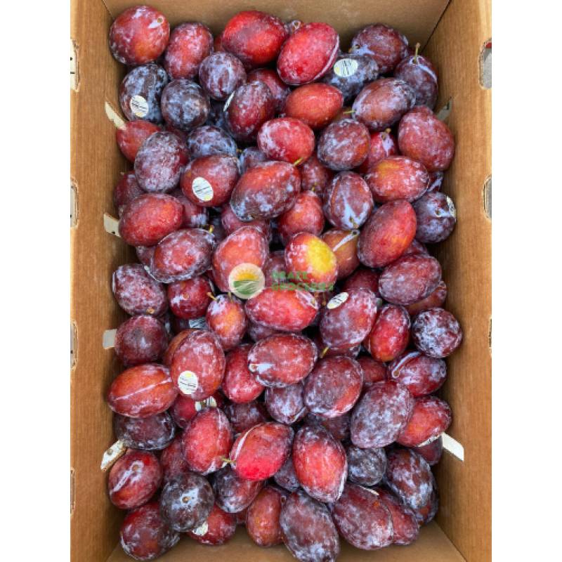 Seasonal Fruits