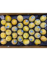 Seasonal Fruits