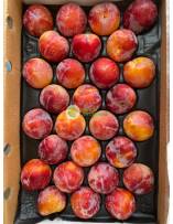 Seasonal Fruits