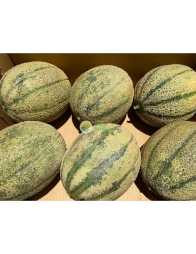 Australia Rockmelons